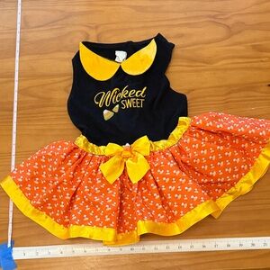Wicked Sweet Dog Dress - Black and Orange